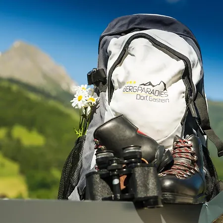 Bergparadies - Inklusive Eintritt In Alpentherme شقة فندقية دورفغاستين
