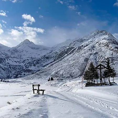 Bergparadies - Inklusive Eintritt In Alpentherme Dorfgastein